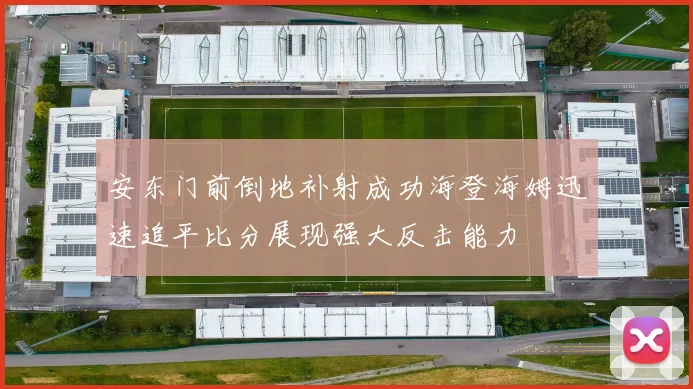 安东门前倒地补射成功海登海姆迅速追平比分展现强大反击能力
